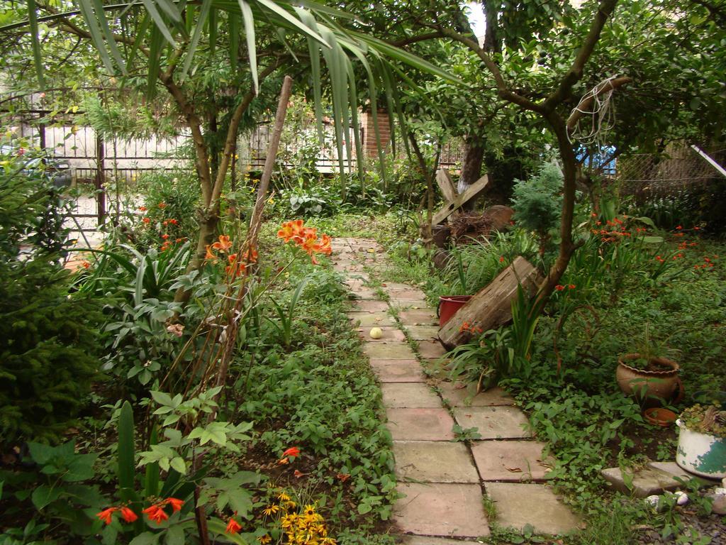 Guest House Temuri 바투미 외부 사진