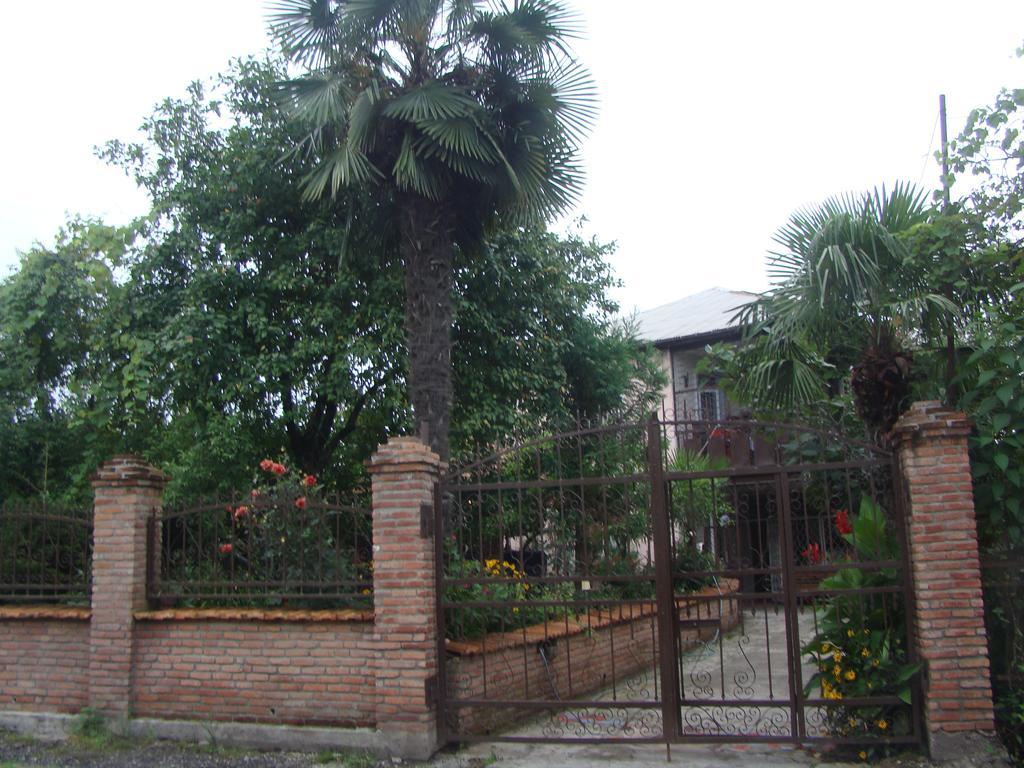 Guest House Temuri 바투미 외부 사진